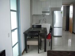 Viz At Holland (D10), Condominium #558859281